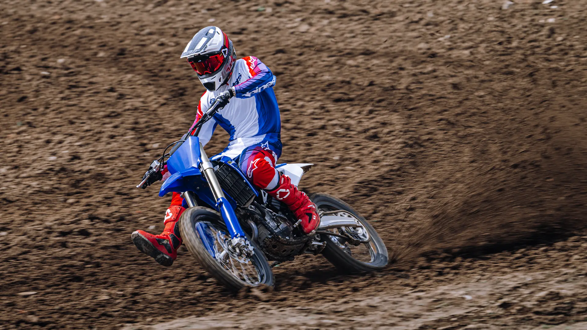 MX250 - gallery image 3